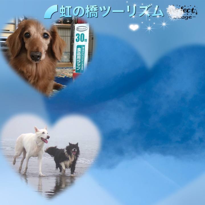 39f53694 2069 49ad a7e4 1921f68bbd90 1571759613040