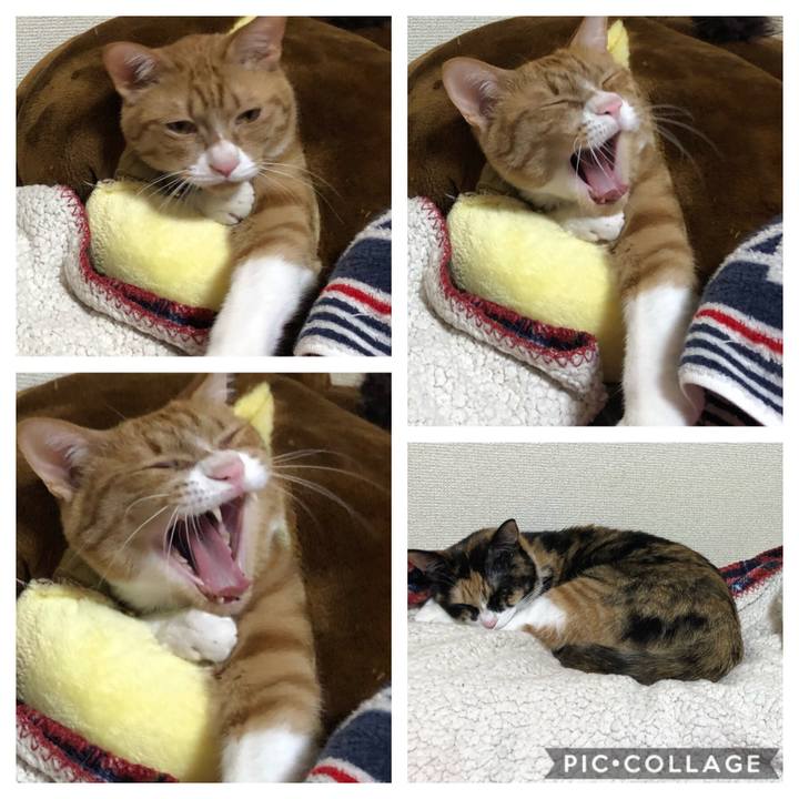 39f5545a 5847 45d7 b803 aa01a103bc4e 1575727849764