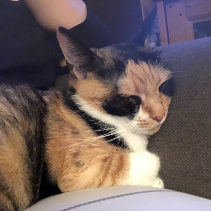 39f5a2d4 650c 4495 8930 9f74b7dba1df 1558441946982