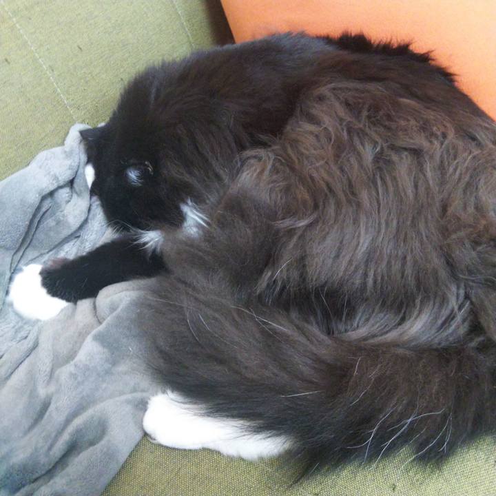 39f5aed2 80bc 40ed a706 3af8661133c7 1665047549991