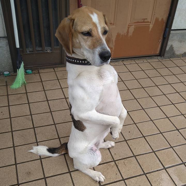 39f5e886 cb92 4b75 8755 3b9c7aa2aa24 1655443793367