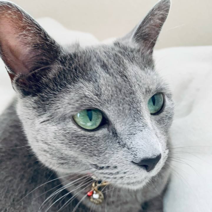 39f60a77 1e08 4fd0 b780 ae52c45779cb 1623128201662