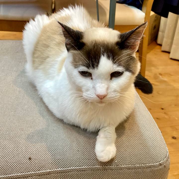 39f64023 2cd3 430c bd48 ebe4fb44c17f 1677059473742