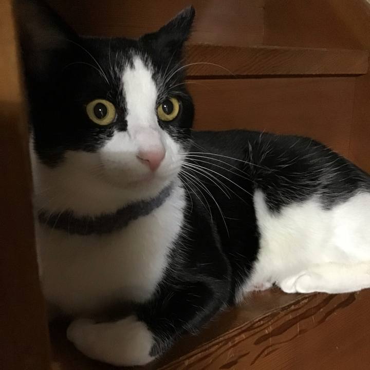 39f65c4c f433 4b4b 9aca 541e72a9c014 1669464324766