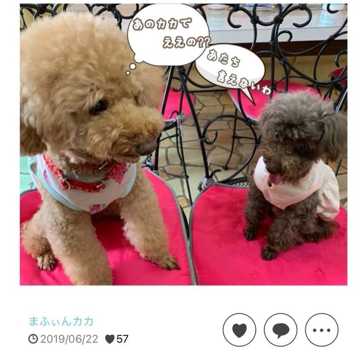 39f65d06 6fcf 483f b17f 104b5545f56d 1719309201043