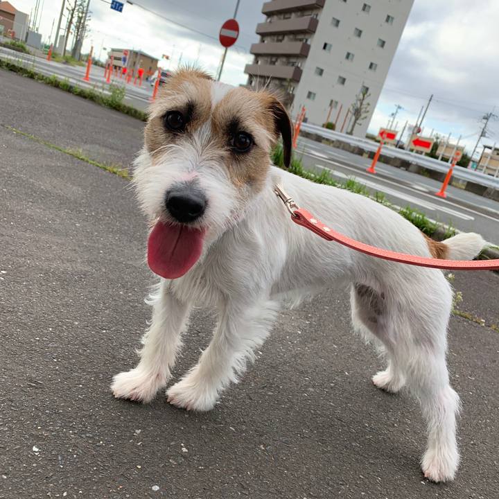 39f66049 5df4 42af 9b47 81f88d8883bb 1588589243022