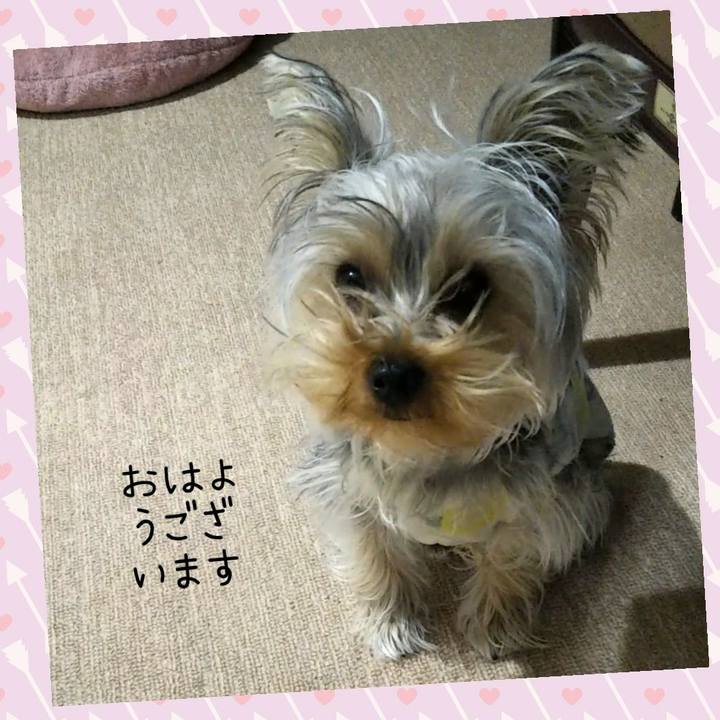 39f67682 4093 478a 8013 40d5f1c56715 1549847526457