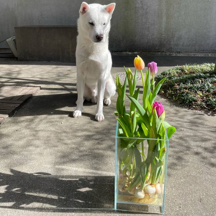 39f6ac1f 13b4 4690 967e 8c25a3368ac3 1616482346878