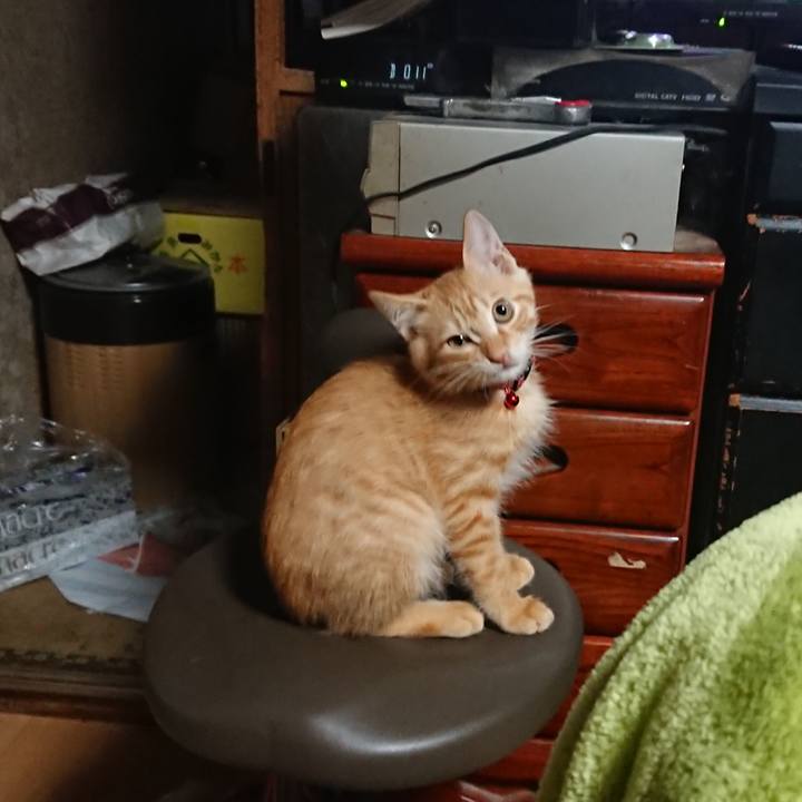 39f6b204 18db 4158 8664 1e91cd6b2eb5 1631913890655