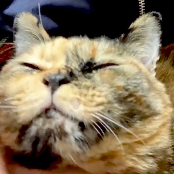 39f6c529 7eda 4afe 930a 50c352fc245f 1732786560771