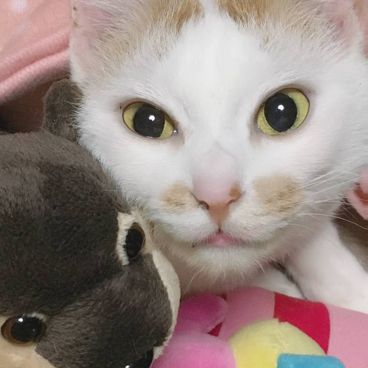 39f6dc9d 3e8e 427b 9f71 551ecc704ff8 1576999655095