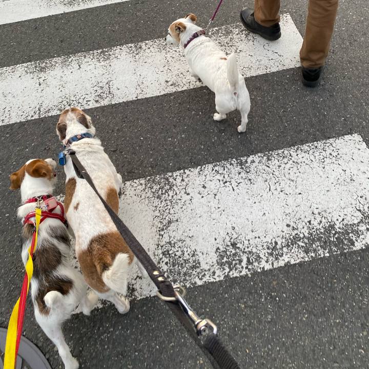 39f6dd0a 4eab 49f5 83be 24f78e04668c 1618478992363