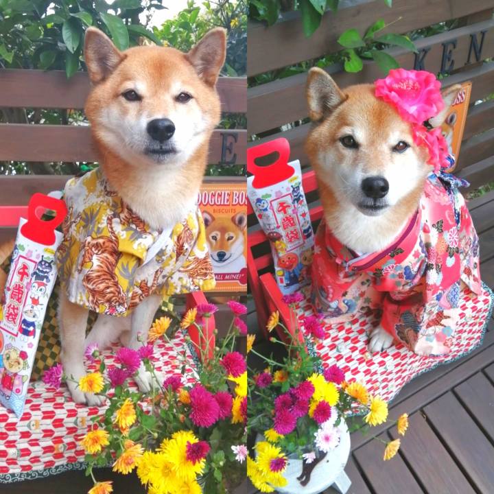 39f712dc 7814 4053 9a6e ad18fd466534 1668316107209