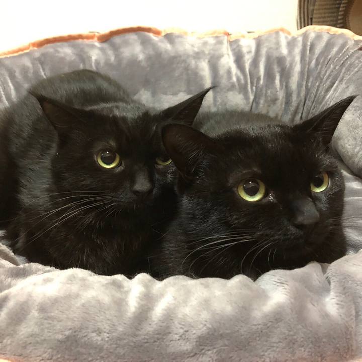 39f7446a d8fc 49a4 b4e1 997d65682938 1552715477312