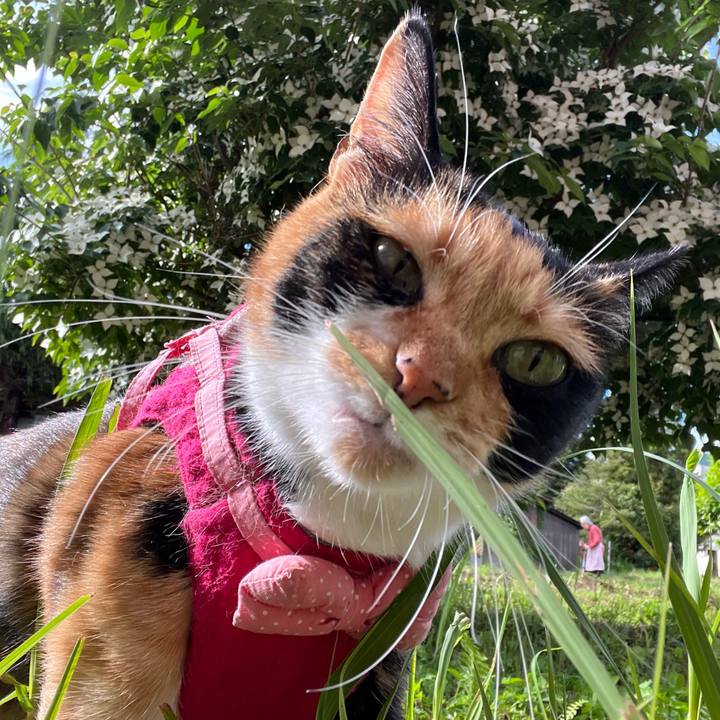 39f75b3d d61d 4a37 9ffb c0fac2d17542 1686914532920