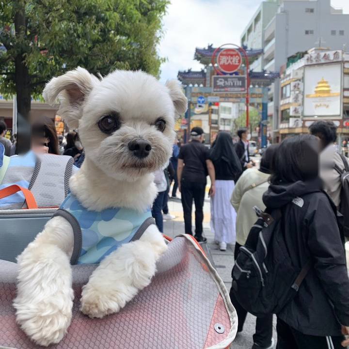 39f789e9 3954 4f1b b074 39143b518f32 1682924593179