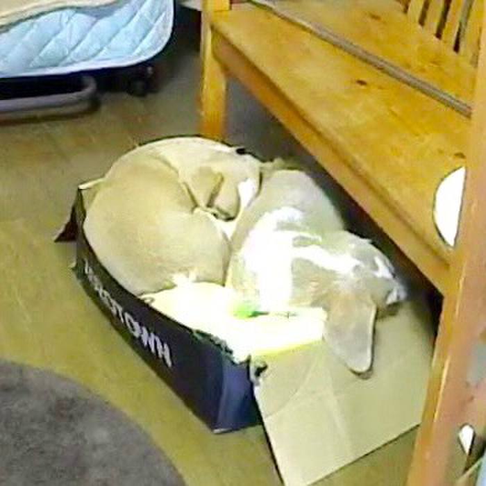 39f7ae3f f23b 475f b857 7a1636181650 1541126146083