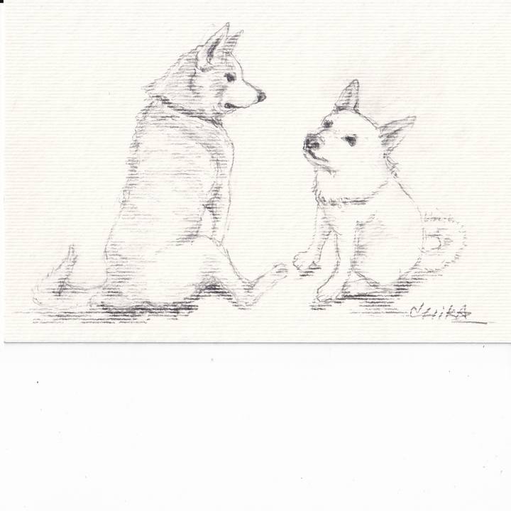 39f7bc5e afd4 45c0 a8a5 9268ecc466a7 1751295934715