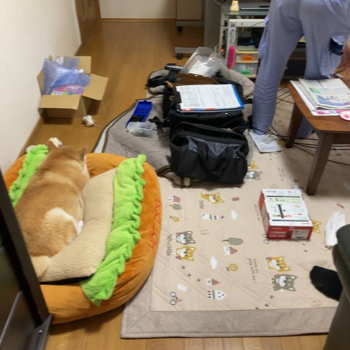 39f7da07 e567 4952 aad3 4717d12b1710 1621664741767