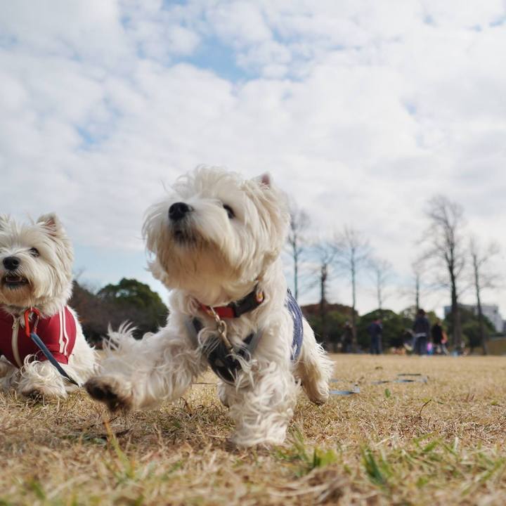 39f7da88 f901 4c4d 8be6 6abd88dc0768 1512212791004