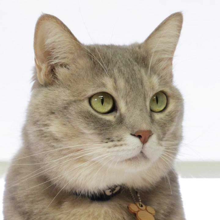 39f7e52b 12ee 46b5 b172 5735d78fbdae 1636704387793