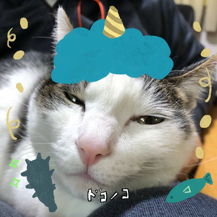 39f7ed6e 3378 4cf2 bef8 8ddf25e588f1 1707137536595