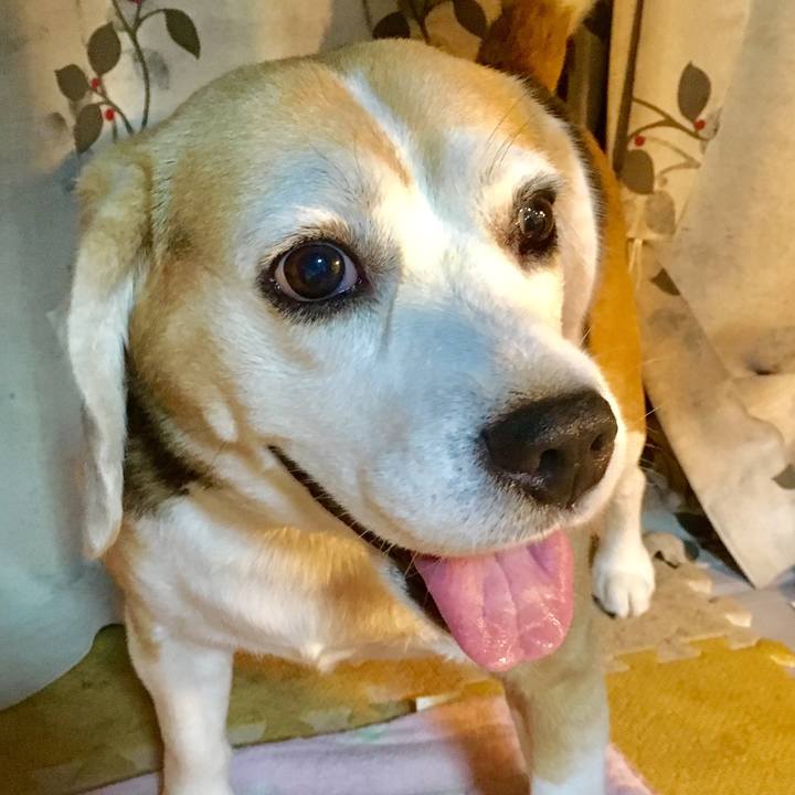 39f7f481 1cc7 4645 8dc8 62728edc7cd3 1536411747929