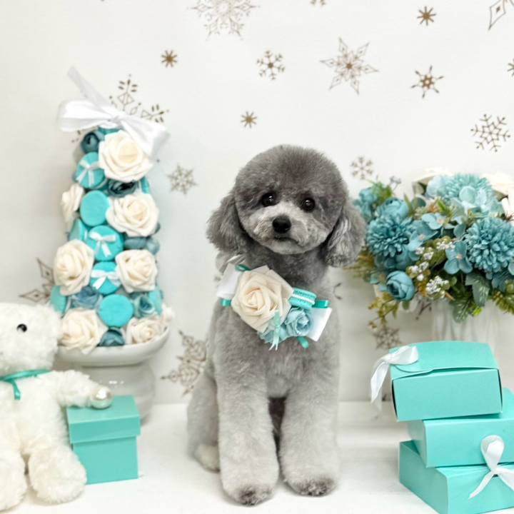 39f80e4d 0ada 452f a432 18d2c97b1957 1772248944373