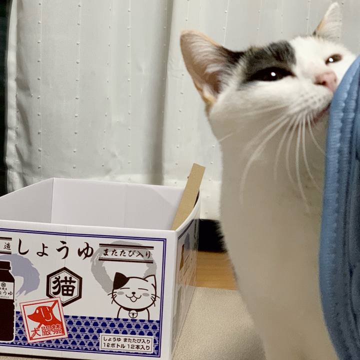 39f815df c949 43c7 94eb f445ca74d5b4 1540433103046