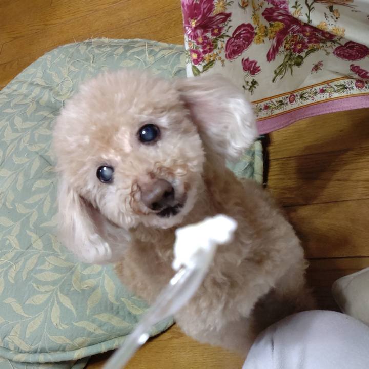 39f868e1 06fb 4ad9 9192 41dbd7b93ed6 1675770314261