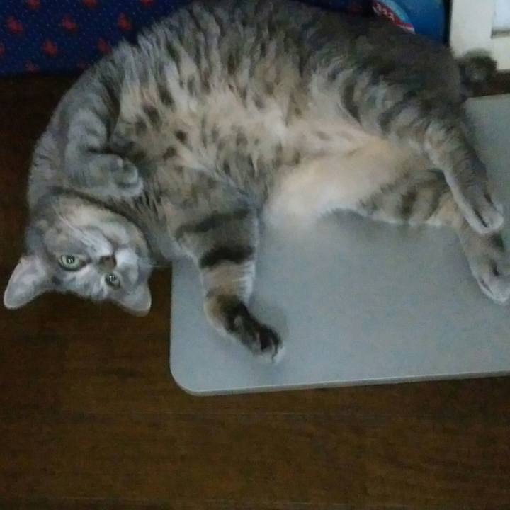 39f869f4 09e3 4400 bb93 7a5d59424c1c 1534324755282