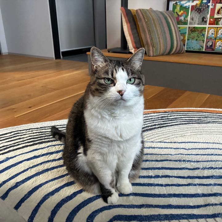 39f887e9 1b13 48d6 b34d 0a30eef4a568 1770850564269