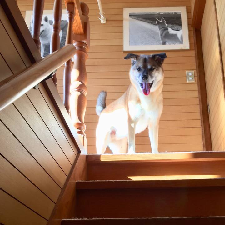 39f8c304 a110 48ee 8d91 0eb7c925d42c 1543315140021