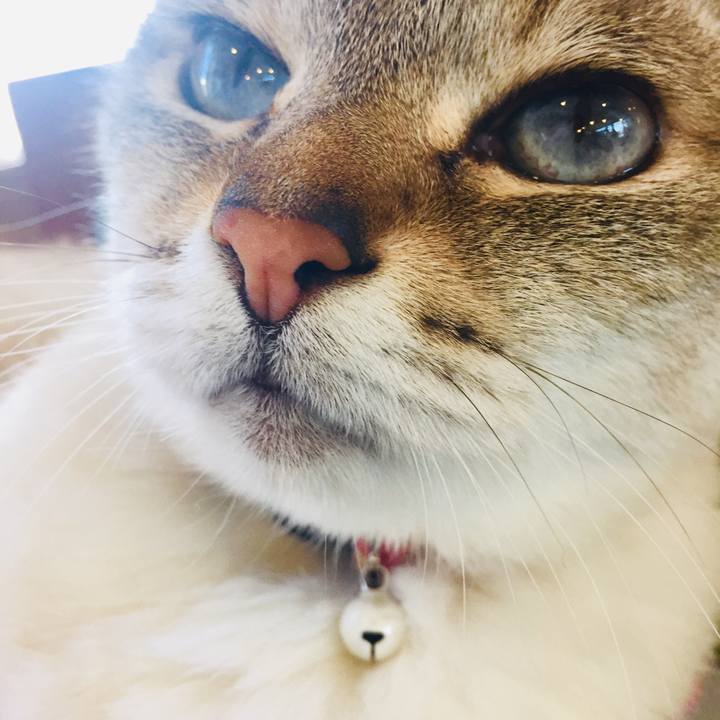 39f8cc04 e0f7 46c7 a838 1816ec82b171 1557904835485