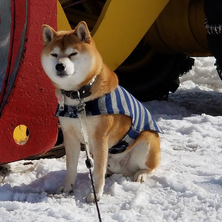 39f92a27 69a8 47a4 9dec 61bf9f0f7498 1565330990996