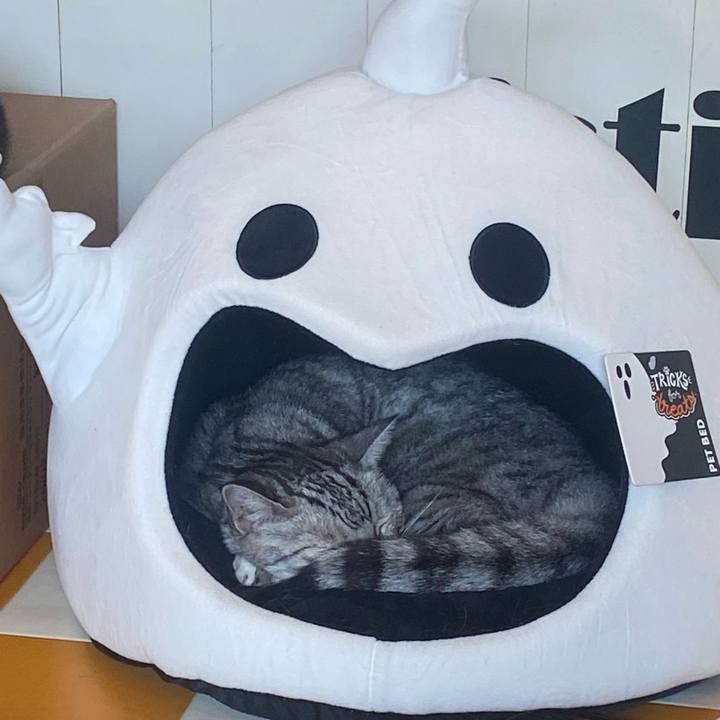 39f93a2c 6fa8 49b1 b9b3 b900402b600c 1730598919313