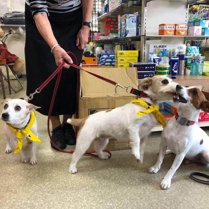 39f95a17 90ee 4362 a8af 78b560e36a78 1539775122079