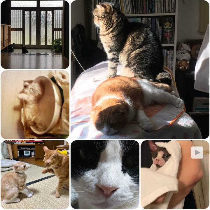 39f95c12 b7f0 4d01 b6a2 343c49ead800 1568716382905