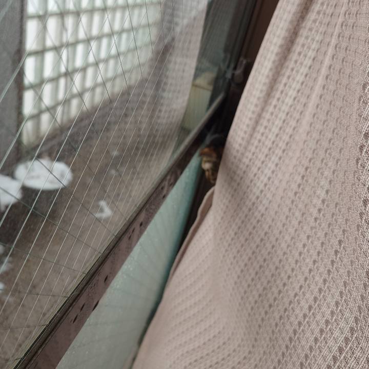 39f9763f 5622 4e2c a60c 970df1983f3e 1770524556572