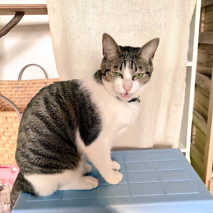 39f97828 e407 4f17 b434 2a751c1fe064 1509839951148