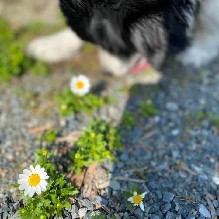 39f9a83d e88d 42ba 9ea3 726ef3257551 1615167380526