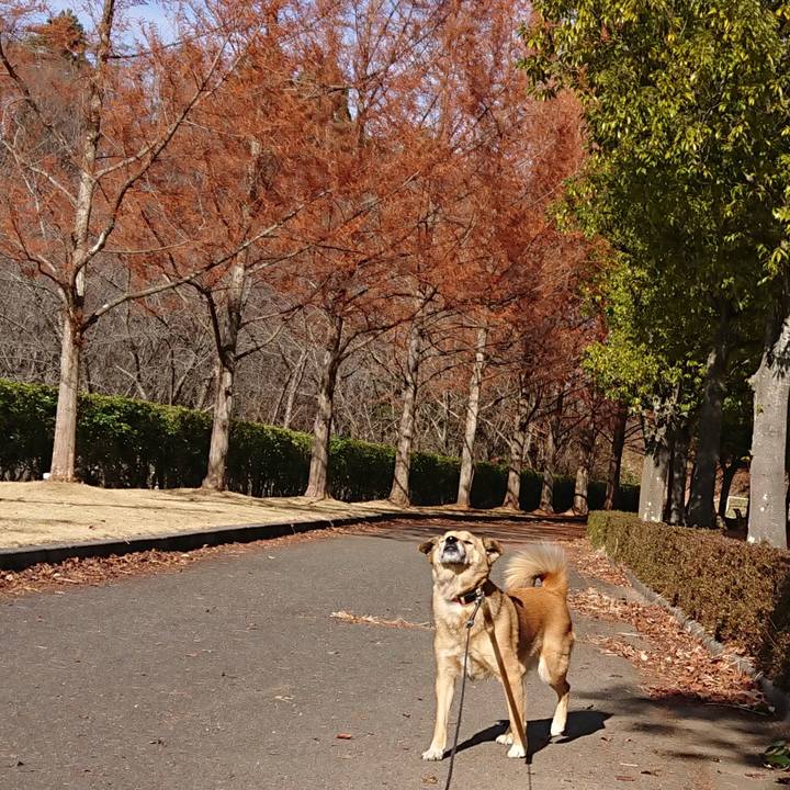 39f9b0f5 f8f6 4e66 adfc 778bf931e563 1607243321388