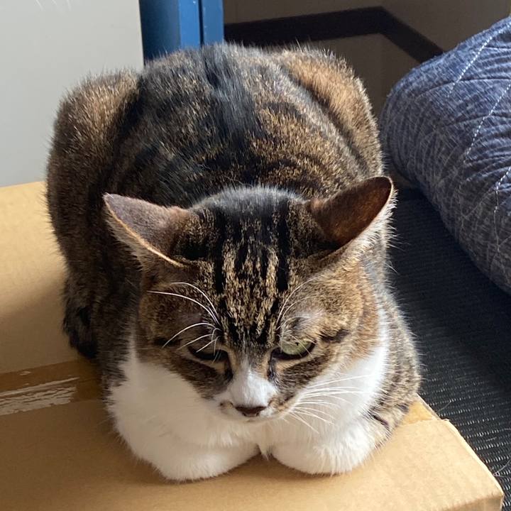 39f9c432 70e7 47e0 8976 4198a1a6643c 1587568108695