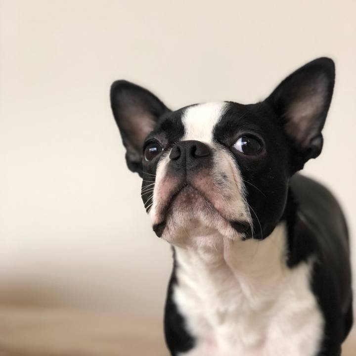 39f9dc98 b963 4464 8ee1 bd12b94d16fb 1541138783384