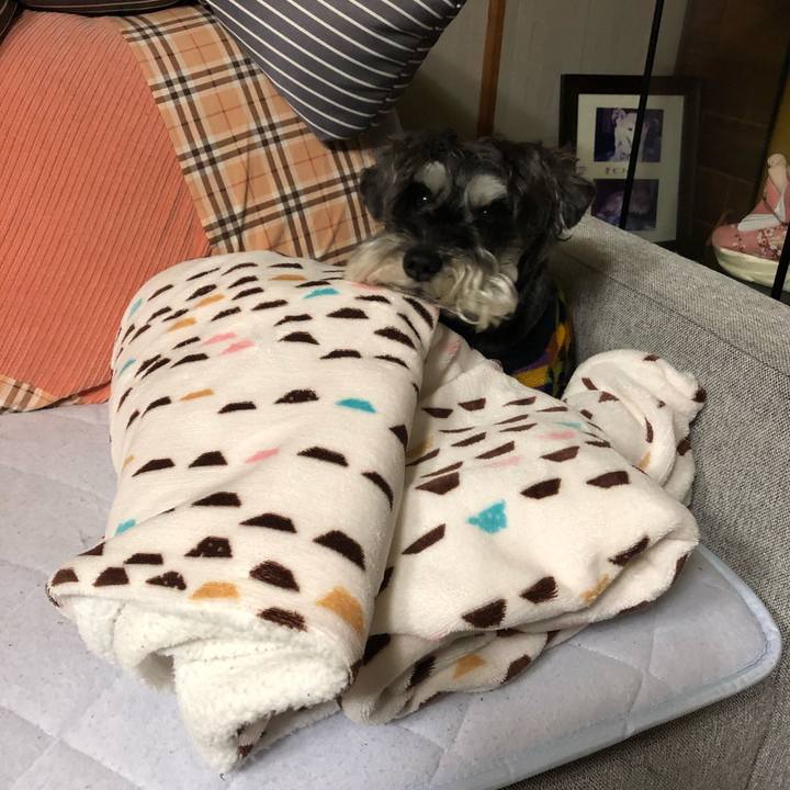 39f9de89 d6e1 48e0 bfb7 e7e997e823f8 1683728062518