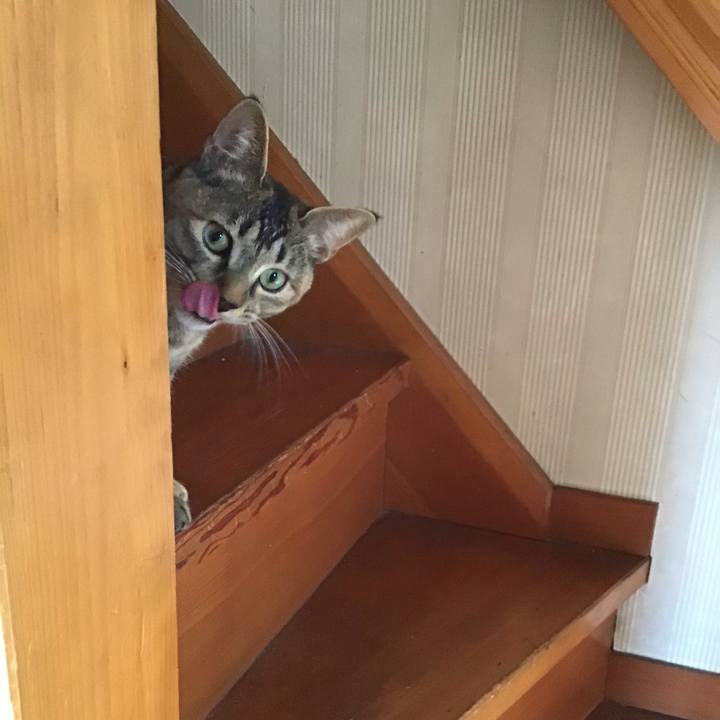 39f9e27a 3057 4ec0 8c15 6411e5fb9959 1579678917474