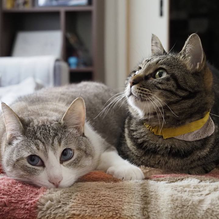 39f9f58e 7bff 4842 869a c3ebf7533090 1684887130383