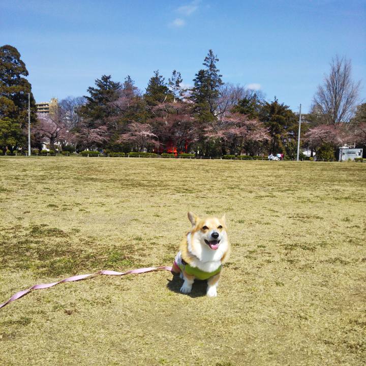 39fa05a9 0fd2 48f9 8532 88183025e87d 1585624092141