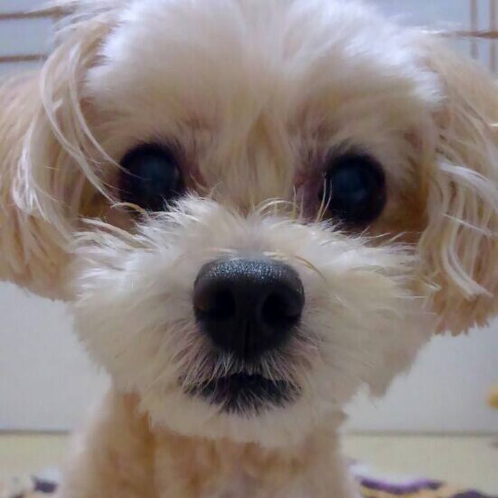 39fa31ef b5a2 4bf3 9cee f60d4af451b4 1563627103908