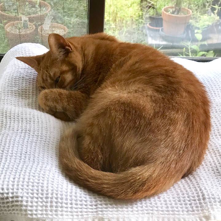 39fa71b8 834d 44be be8b 852277878d50 1569474244904